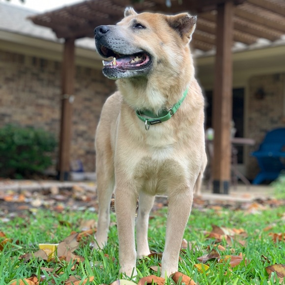 Meet your Posher, Emily - Picture 5 of 16